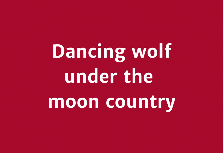 Dancing wolf under the moon country