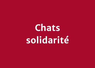 Chats solidarité