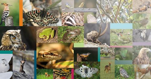 Atlas de la biodiversité communale : webinaire - Vaison-la-Romaine