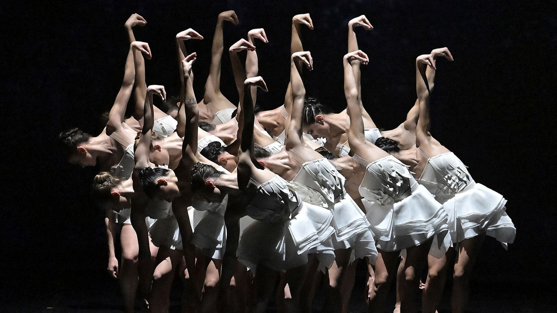 Vaison Danses 2023 : Ballet Preljocaj | "Le lac des cygnes" au Théâtre antique